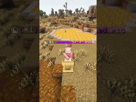 Best Public Minecraft SMP (2026) (Custom) #minecraftsmp #minecraft #smp #java #bedrock #crossplay