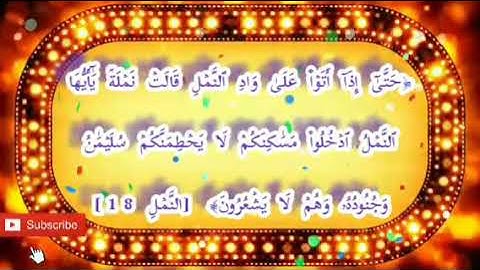 سورة النمل 18-19