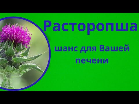Расторопша плід (порошок) (500 г), видео 1