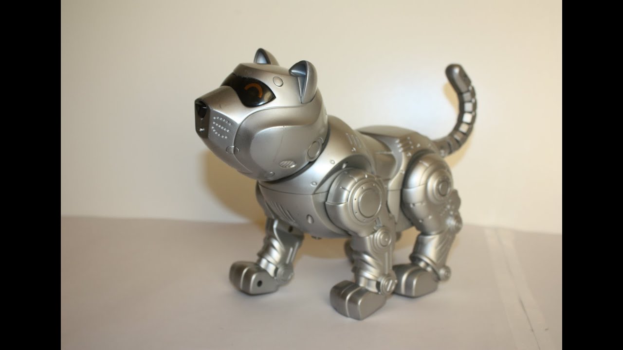 robo kitty toy