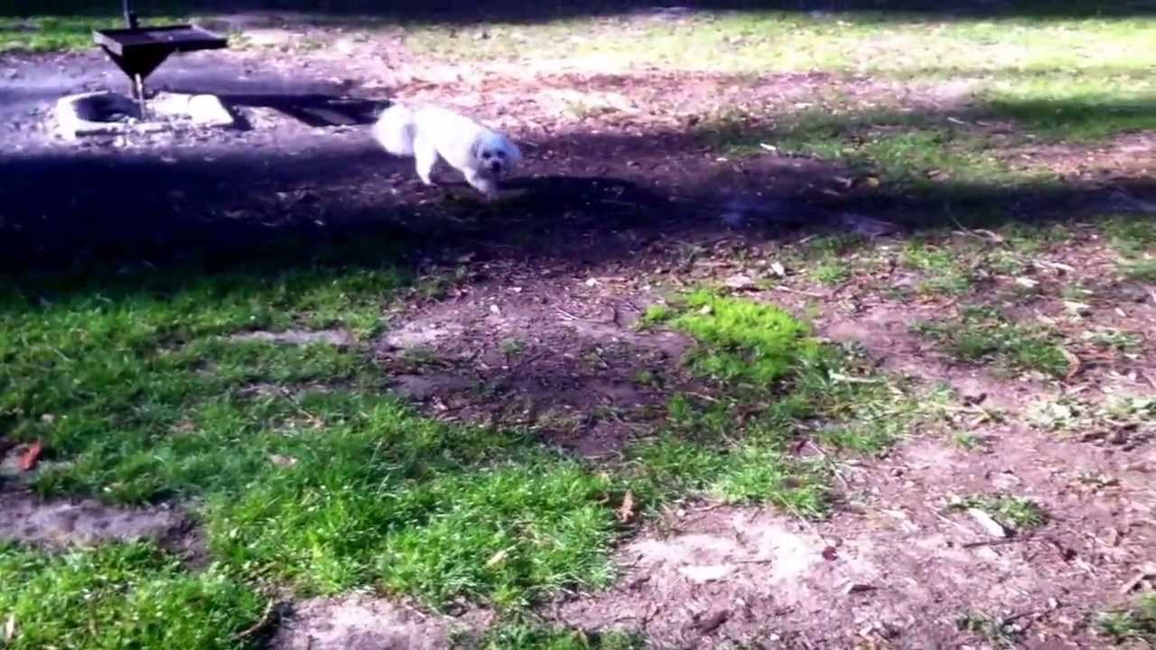 Andersons Garden - YouTube