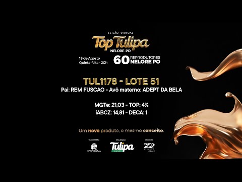 lote 51   TUL 1178
