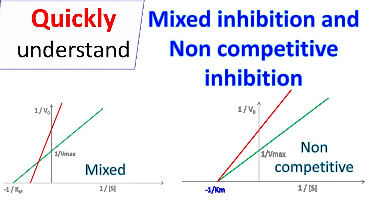 Mixed and Non competitive inhibition YouTube