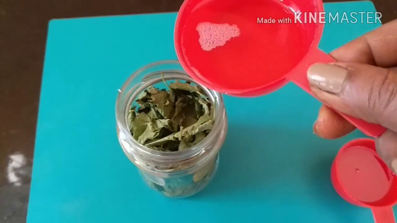 Brahmi Hair Oil How To Make At Home For Strong And Healthy Hair YouTube