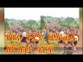 Woktawi Gudayoch Sep4th 890 SimntZetena Brings The Wellega Horo Gudru Genocide To Attention