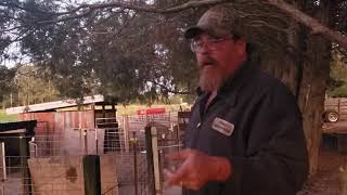 Celebrity Pig troughs and loading chutes Net Worth
