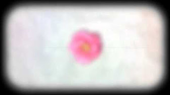 泣ける歌 ボカロ 死別 Youtube