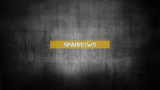 Sparrow  Jason Gray 