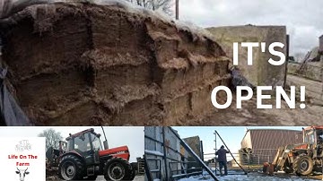 OPENING SECOND PIT SILAGE! WHAT IS IT LIKE????