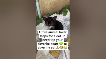 all donations are accepted through PayPal link in the bio please consider donating something to help