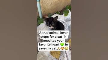 all donations are accepted through PayPal link in the bio please consider donating something to help