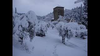 ГРЕЦИЯ | Гора Афон в снегу (Январь 2019) Snowing at Holy Mount Athos