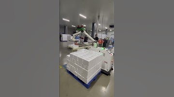 Robotic Palletizer | High-Speed Automatic Palletizing Robot for Packing Lines