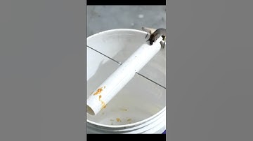 Best Mouse/Rat Trap Bucket #shorts #mousetrap #rattrap