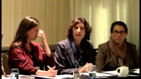 Sarah Fishman, Commentary