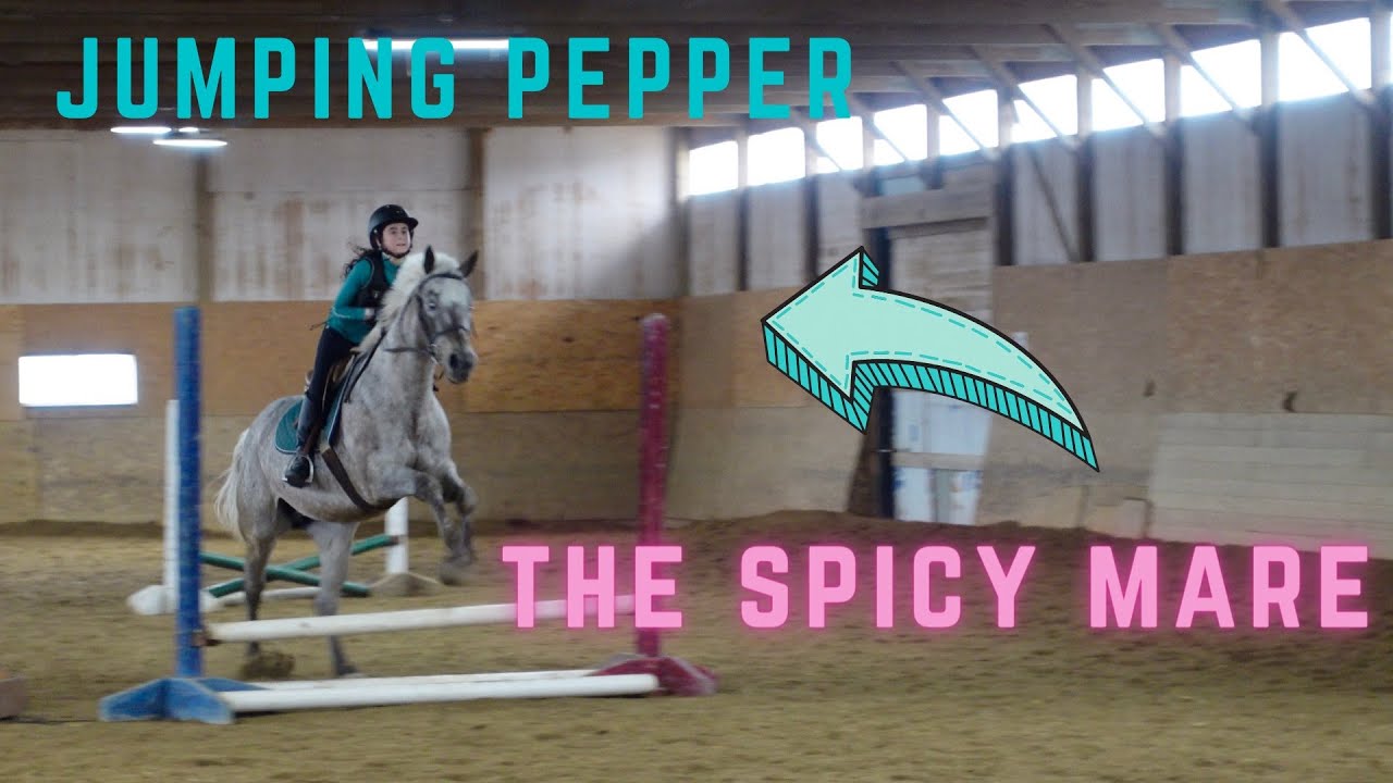 JUMPING SPICY MARE PEPPER!!! PRACTICING FOR AN UPCOMING SHOW/GROOM/TACK ...