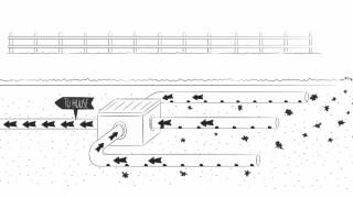 Residential Septic Systems Part 2 What Can Go Wrong