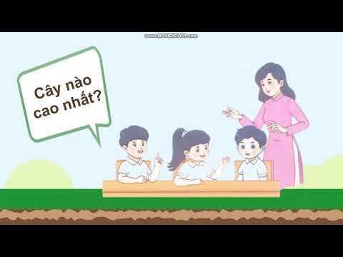 Toán Lớp 2 - Bài: “ Thực hành và trải nghiệm” (trang 36)