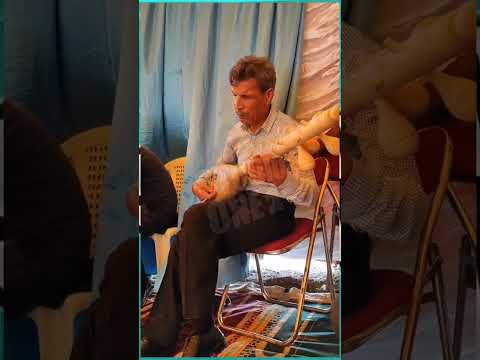 ملك الوثار المحفوضي محمد عزف خطير