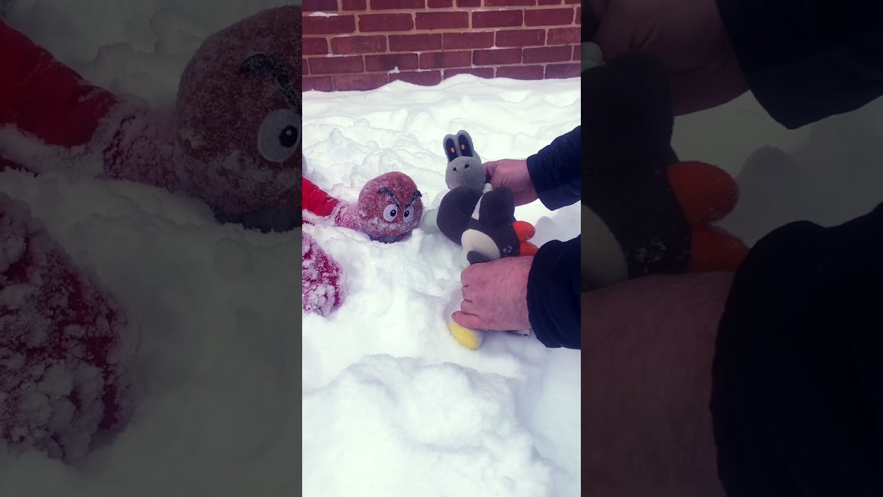 The Hunt For Mario & Luigi Part 3 