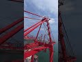 වරායෙ දොඹකර.. 🏗️ Crane #qc #sts #ship #colomboport #portlife #msc #cmacgm #srilanka #hormuz