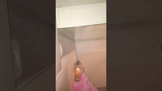 1 De Outubro De 2025