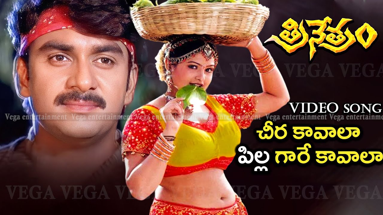 Cheera Kavala Pilla Gare Kavala Video Song  Trinetram Movie Songs  Raasi  Sijju  Trinetram