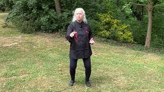 Tai Chi Basics | Organs Related to the Five Elements