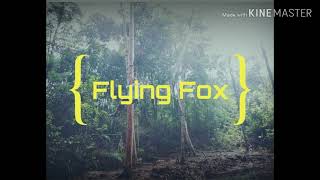 Final Assignment Module 6 Unique Holiday Destination Jurung Tiga Nature Park 1080p1
