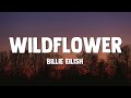 Billie Eilish WILDFLOWER Lyrics 