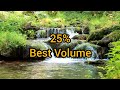 ASMR 🌊 Deep Sleep Brown Noise: Real Forest River Sounds for Insomnia & Absolute Focus (No Music)