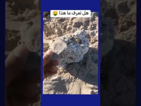 أنتبه أذا وجدت هذا ڤانت من لأغنياء لو عجبك لاتنسة تشترك بقناتي وشكرا اكسبلور معلومات اشياء غريبة
