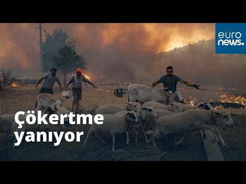 Çökertme yanıyor: Halkın çabaları yetersiz kaldı, alevler evlere sıçradı