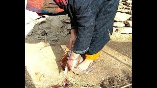 Zabah Of Chicken By Kashmiri Girl. Zabah Of Chicken By Kashmiri Girl.