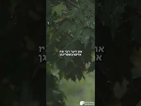 ס'שמעקט פון משיח