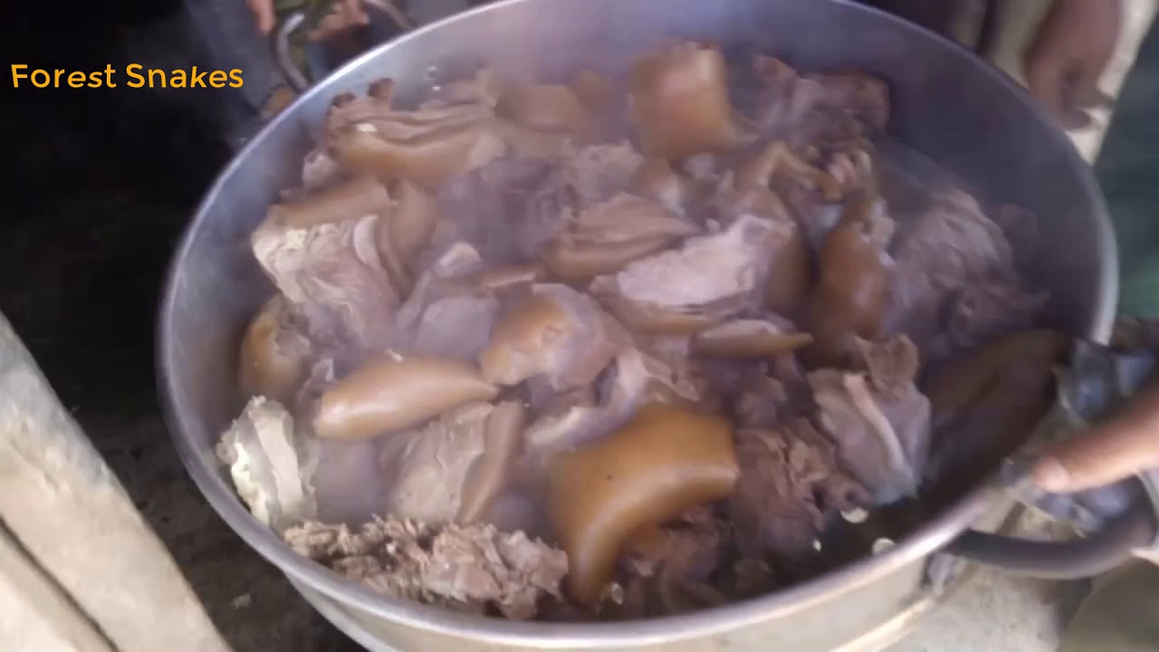 video phone beyonce mp3 beef stew 2018 in my vallige - Forest Snakes p2.