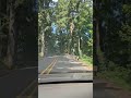 Heading Home
