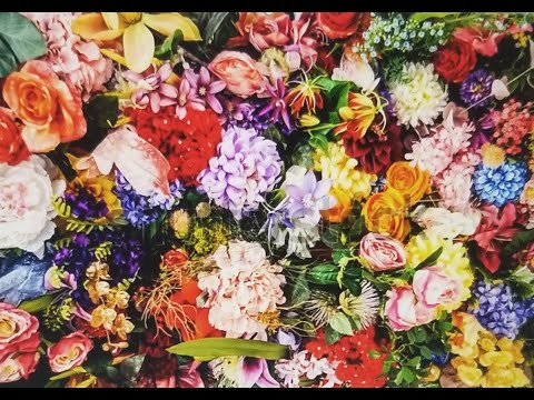 تصویری: انواع غیرمعمول گلهای یکروزه که یک باغ گل را تزئین می کنند