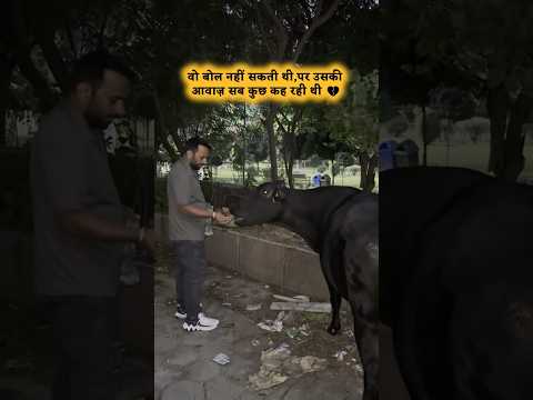 No words just Humanity #kindness #love #cow
