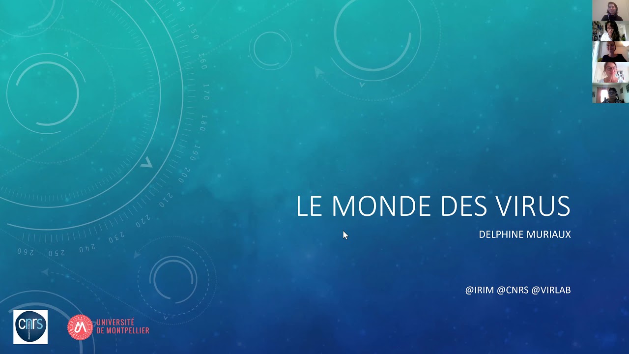 Conférences Gaïa: Le monde des virus-Dr Delphine Muriaux (04/06/2020)