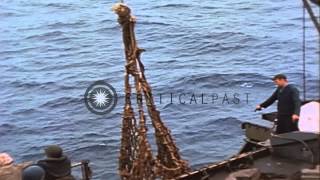 Activities of 3rd Marine Division on Iwo Jima, Japan. HD Stock Footage