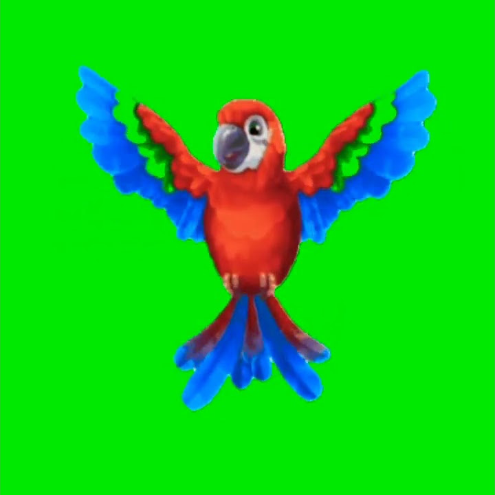 Mentahan Green Screen Burung Macau/Kakatua ❗#burung #kicaumania #hewan