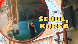 Life in Seoul, Korea | Hidden Markets and Cafes VLOG