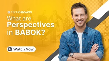 What are Perspectives in BABOK? | BABOK Perspectives Overview | Techcanvass