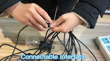 WENDADECO 2023 year best supplier for LED a19 festoon lights