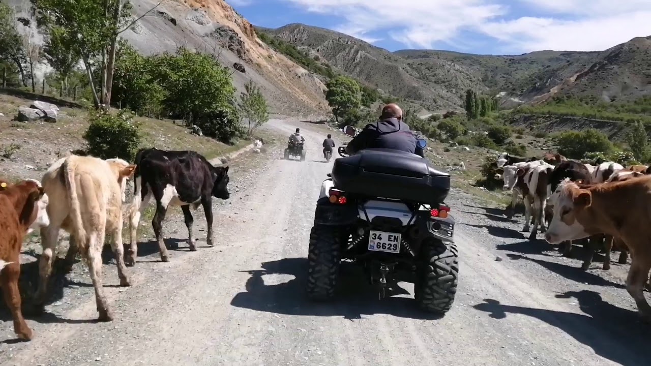 Atv Safari (kuba 4x4)