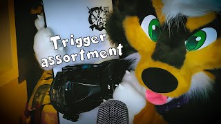 [Furry ASMR] Trigger assortment for sleep and relaxation (soft spoken)