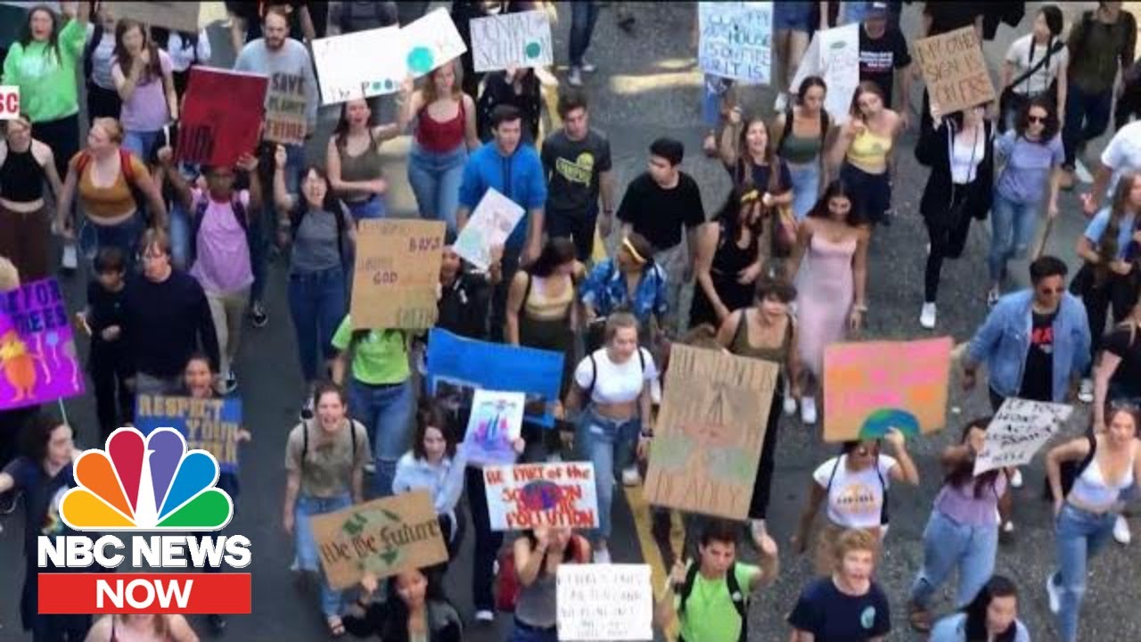 Major Climate Stories Of 2019: From Record-Breaking Temperatures To Mass Protests | NBC News NOW