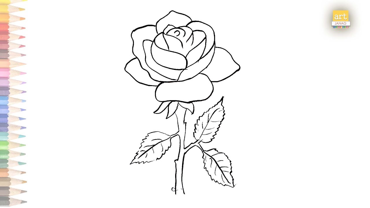 Very Easy Rose Outline Sketch | How To Draw A Rose Step By Step - Youtube