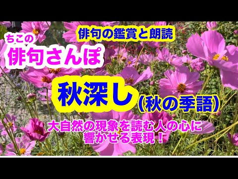 俳句さんぽ・第145回】秋深し（秋の季語）大自然の現象を読む人